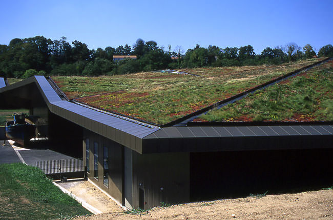 college station roofing company and TAMU green roofing mini