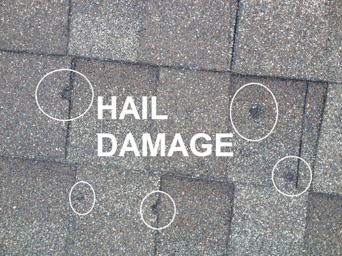 real hail damage spotted by a college station roofing company mini
