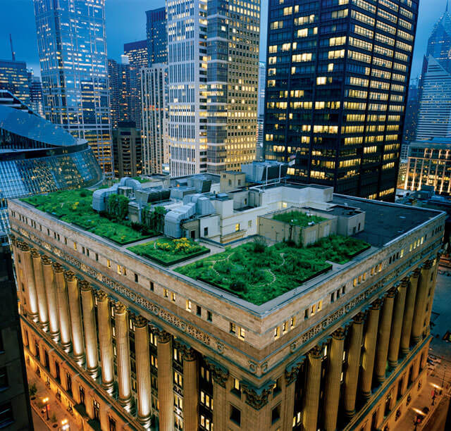 Chicago City Hall's Green Roof - College Station Roofing
