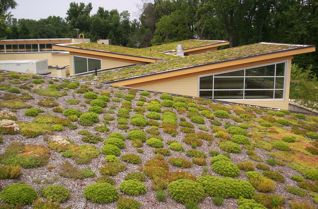 Schulte Roofing - Green Roof