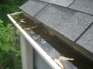 Clogged Gutters - Fall Maintenance Tips by Schulte Roofing