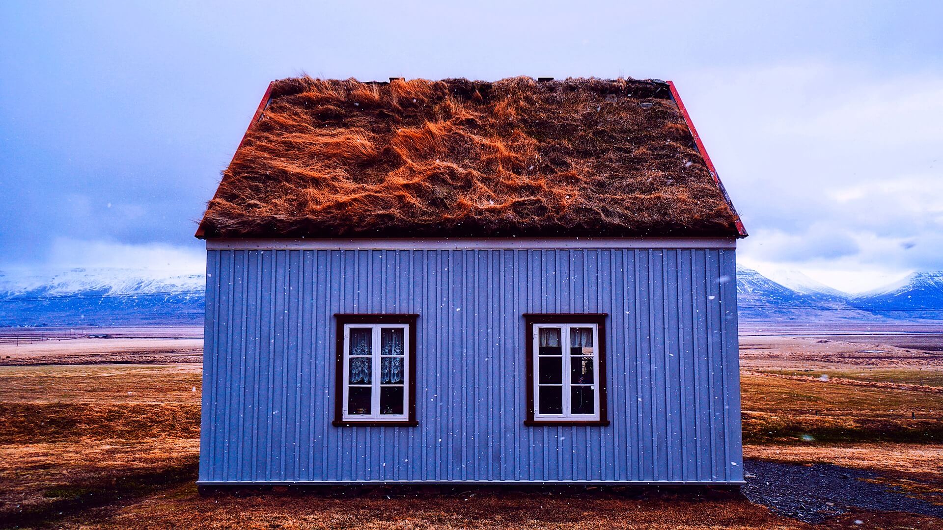 5 Amazing Ways Your Roof Contributes to a Green Environment