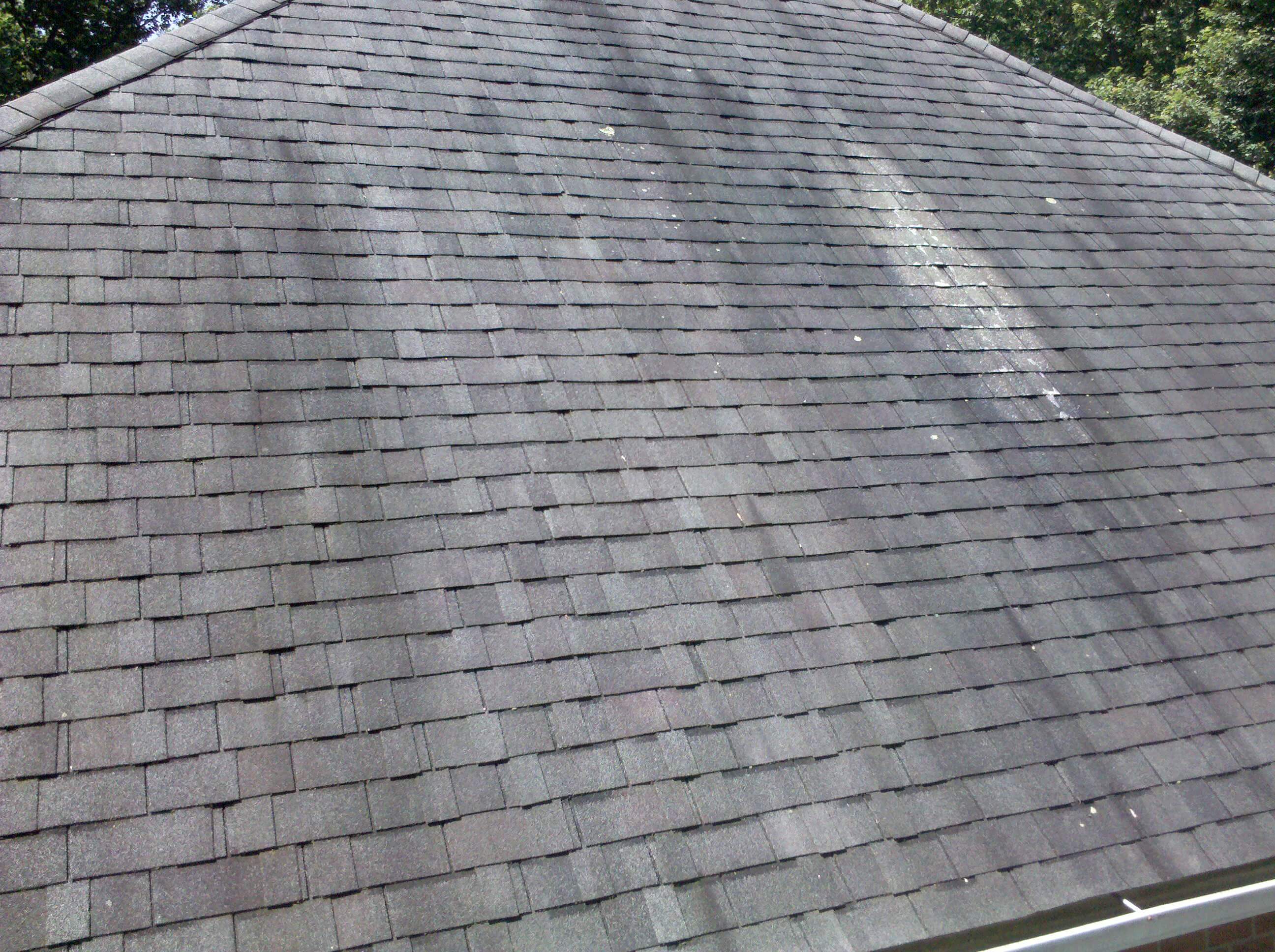Best Way to Remove Algae From Your Roof