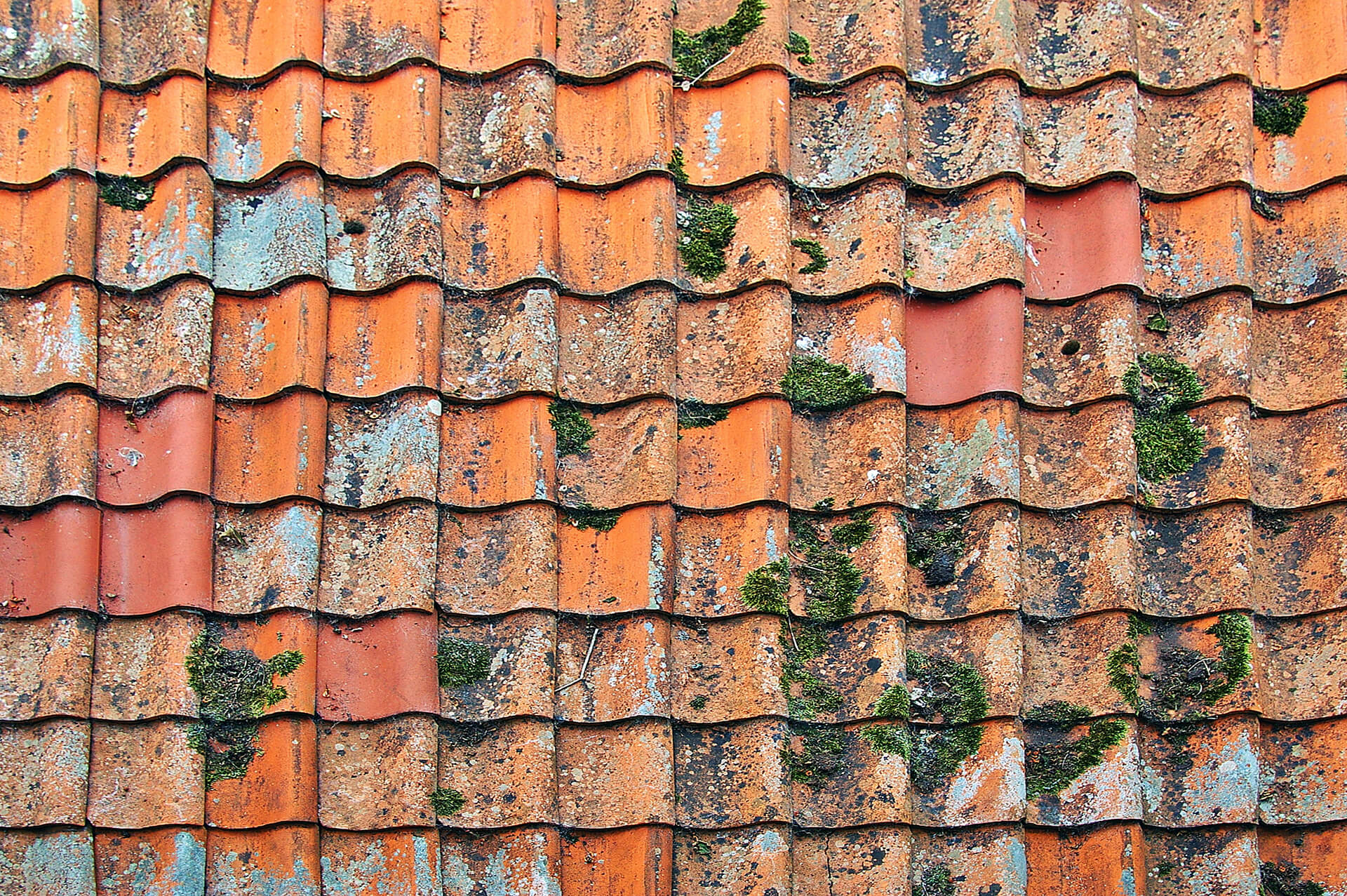 Don’t Avoid Old Roofs – Be Safe When Working on Them!