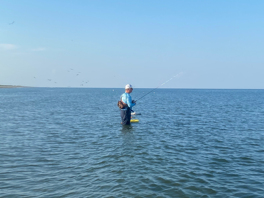 Mike Schulte - Fishing in Shallow Waters around Sharks