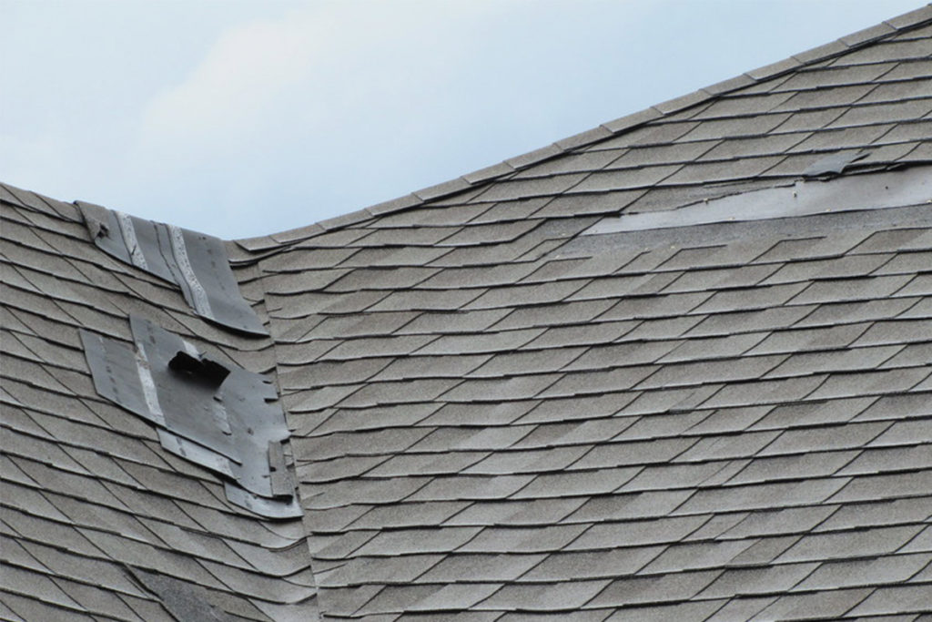 Blog Post: 5 Signs You May Need a Roof Replacement - Roof Damage