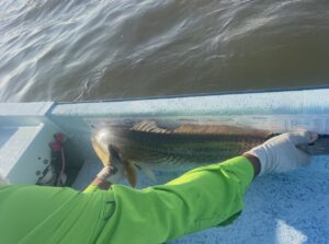 Schulte Roofing team member holding a redfish aboard a fishing boat during the annual company fishing trip at the Chandeleur Islands in the Gulf of Mexico.
